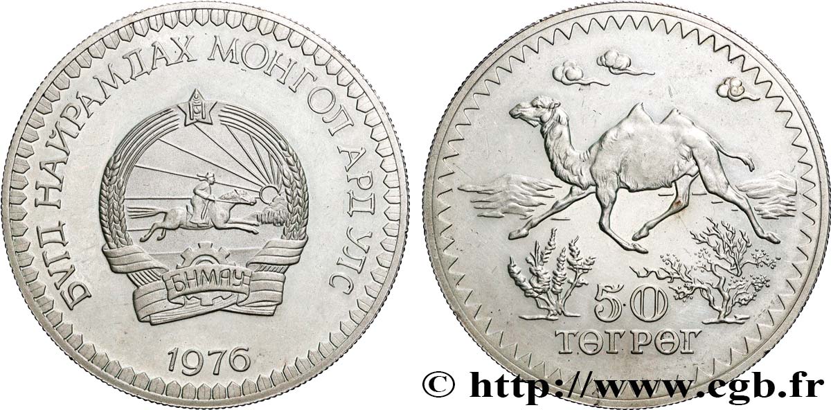 MONGOLIA 50 Tugrik Chameau 1976 MS