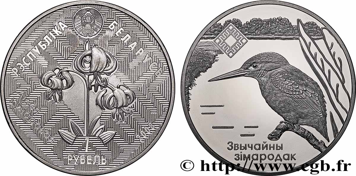 BIÉLORUSSIE 1 Rouble Proof Réserves naturelles de Biélorussie : Lipichanskaya Pushcha / Martin-pêcheur 2008 Oust–Kamenogorsk FDC