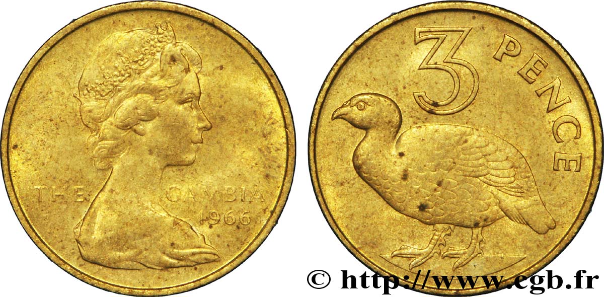 GAMBIE 3 Pence Elisabeth II / francolin 1966  SUP 