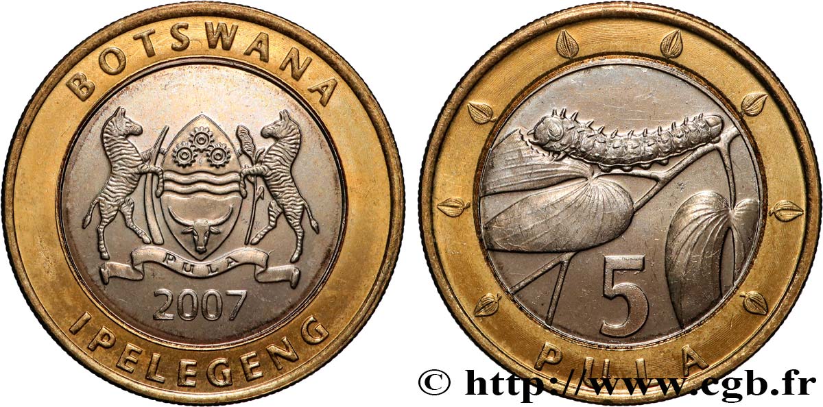 BOTSWANA (REPUBLIC OF) 5 Pula emblème / feuille de mopane et vers de mopane 2007  MS 