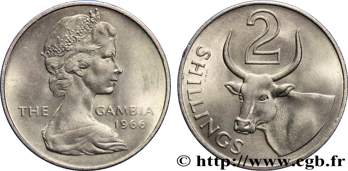 GAMBIE 2 Shillings Elisabeth II / boeuf africain 1966  SPL 