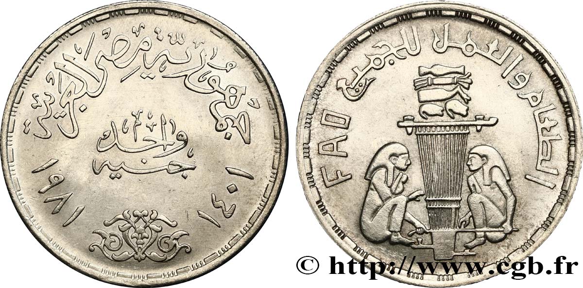 EGIPTO 1 Pound (Livre) F.A.O. offrandes 1981  EBC 