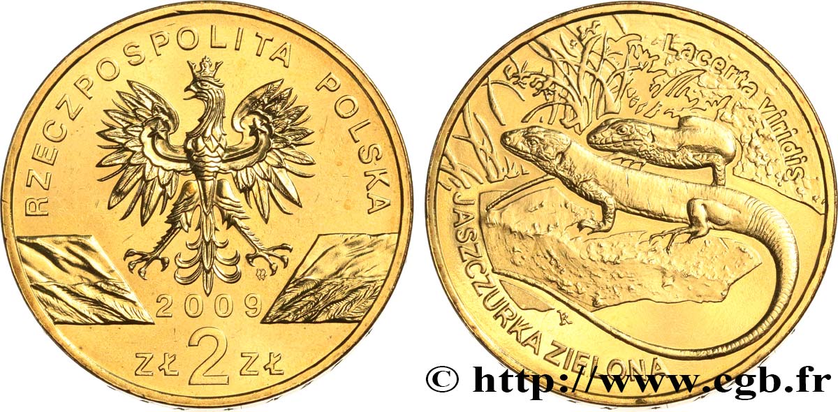 POLEN 2 Zlote le lézard vert d’Europe (Lacerta viridis) 2009 Varsovie fST