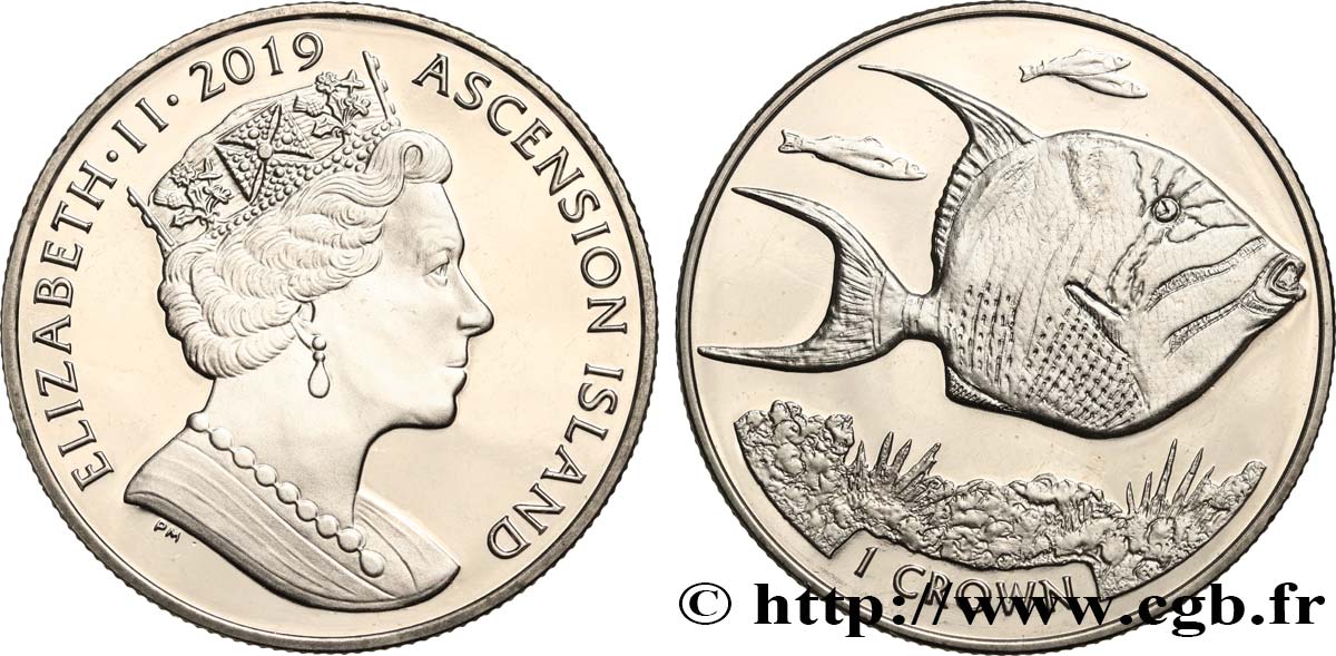 ASCENSION ISLAND 2 Pounds Proof Baliste Royal 2019 Pobjoy Mint MS 