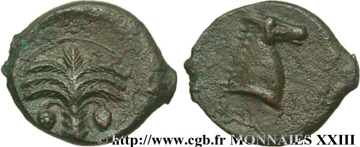 ZEUGITANA - CARTHAGE Unité de bronze, (PB, Æ 19) XF