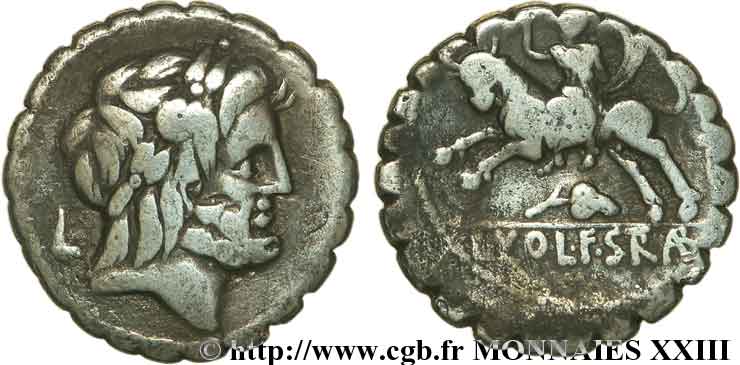 VOLUMNIA Denier serratus S