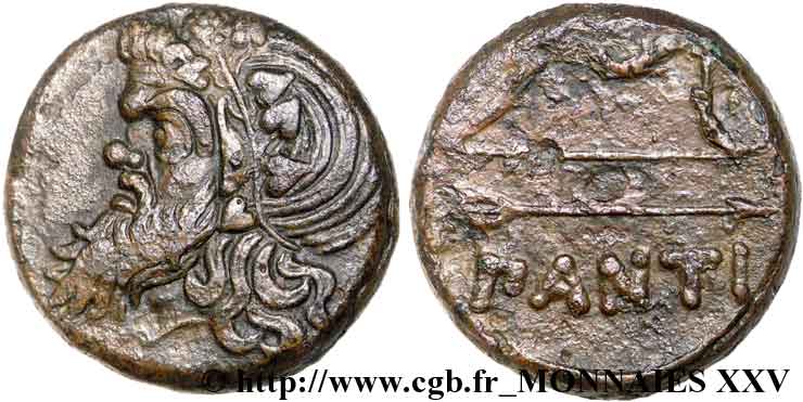 CHERSONESE TAURICA - PANTICAEA Bronze, (MB, Æ 25) AU/XF