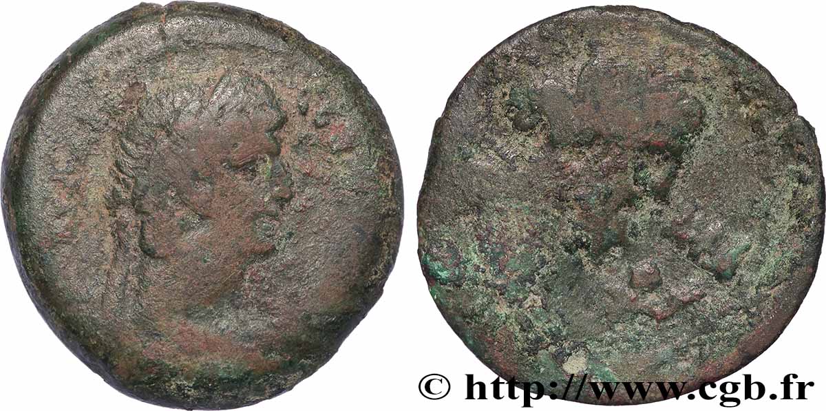 CLAUDE Diobole TB+/TB