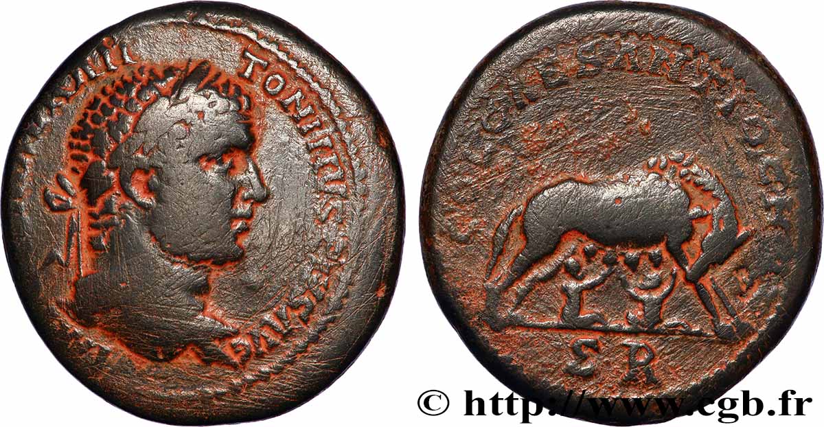 CARACALLA Grand Bronze BB