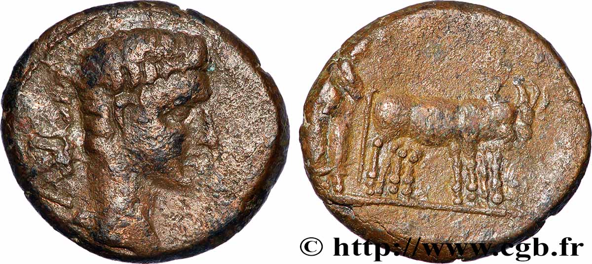 AUGUSTUS Assarion XF