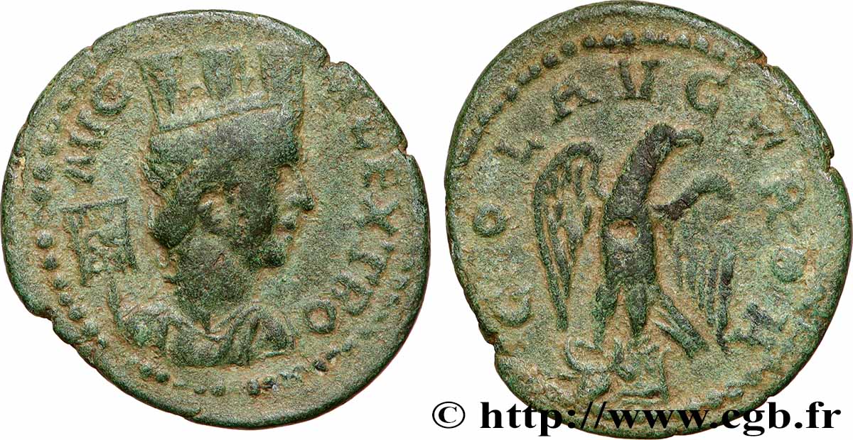 TROAS - ALEXANDRIA Triassaria XF