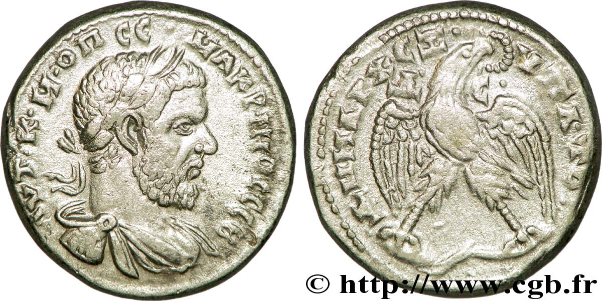 MACRINUS Tétradrachme syro-phénicien AU