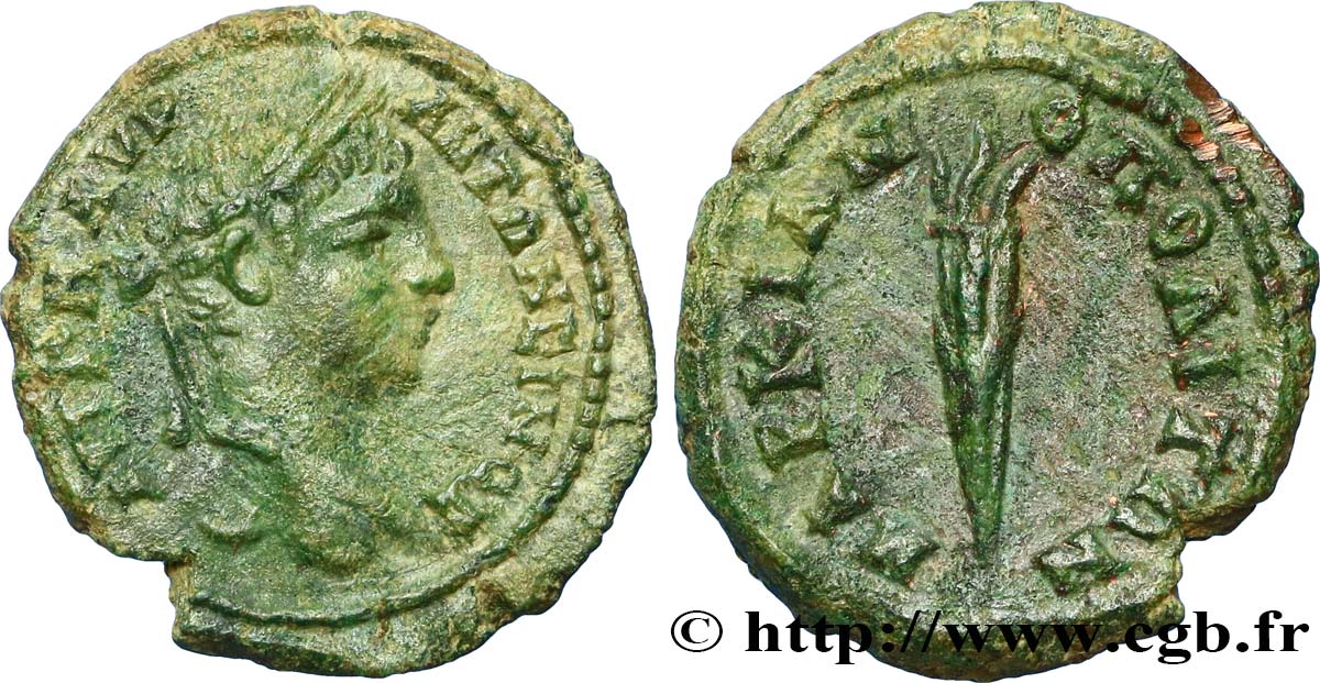 ÉLAGABAL Assarion SUP