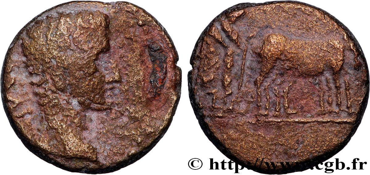 AUGUSTUS Assarion VF