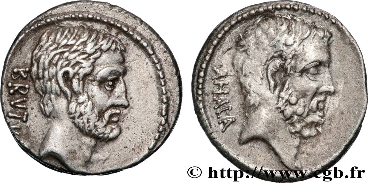 BRUTUS Denier SUP/TTB+