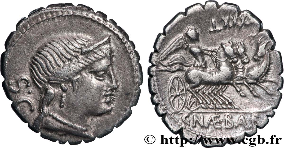 NAEVIA Denier serratus AU