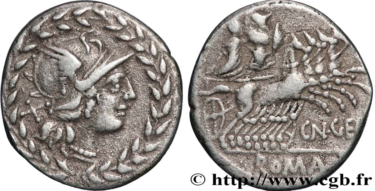 GELLIA Denier TTB+/TTB