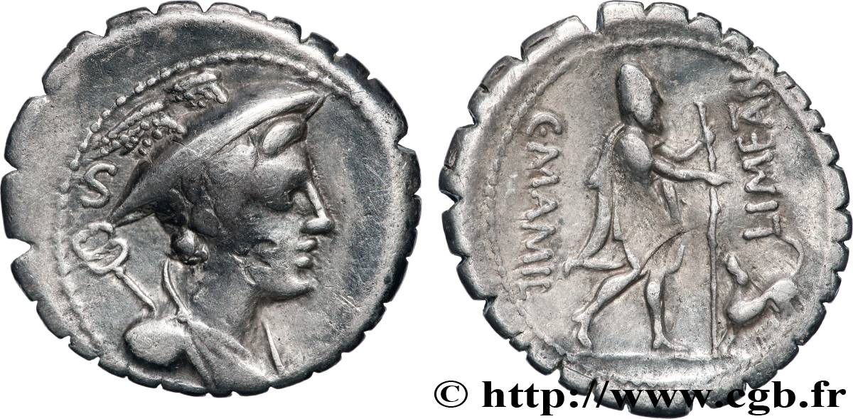 MAMILIA Denier serratus XF