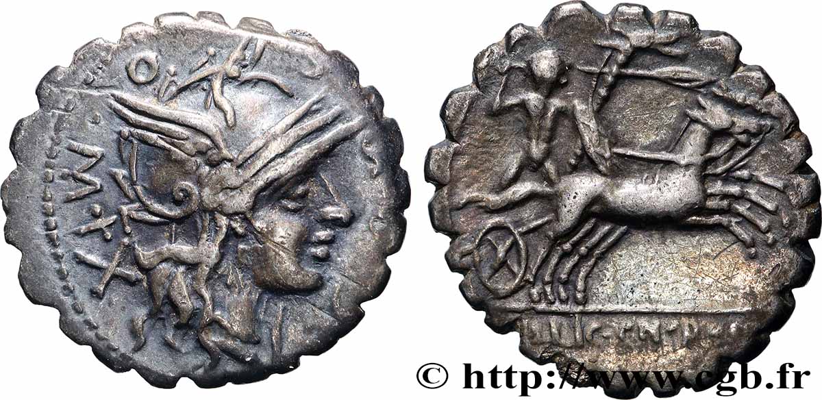 COSCONIA Denier serratus SS