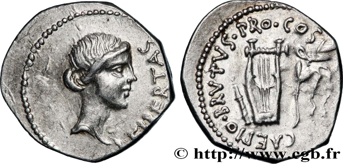 BRUTUS Denier SUP/TTB+