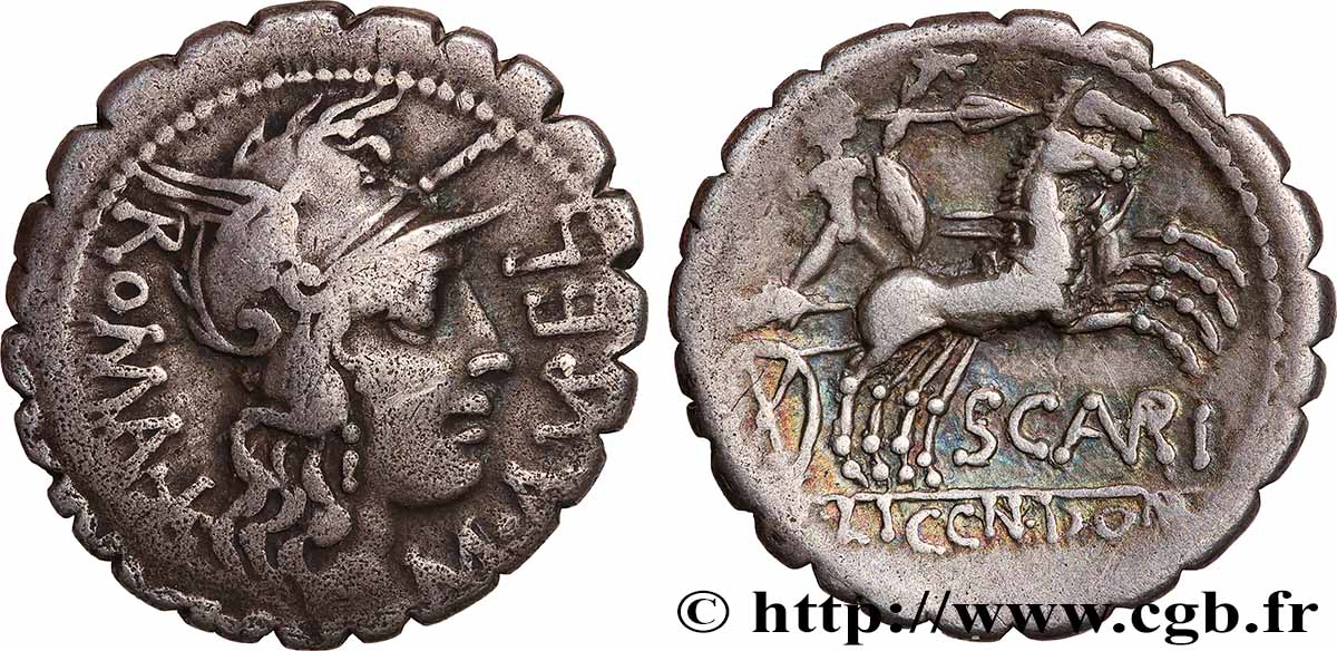 AURELIA Denier serratus TTB