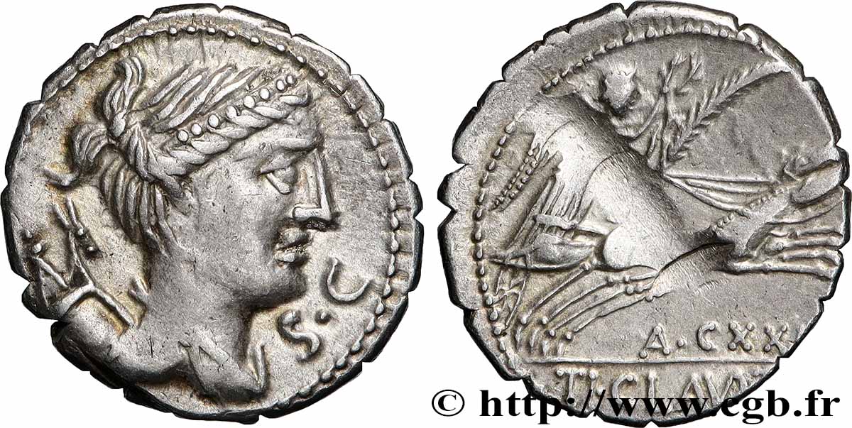 CLAUDIA Denier serratus AU