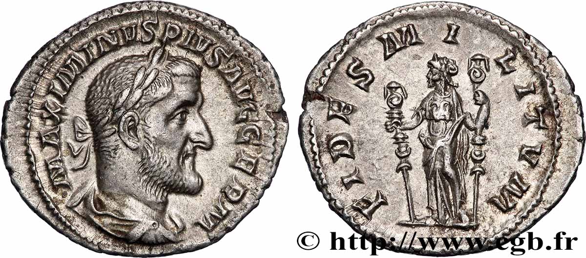 MAXIMINUS I Denier MS