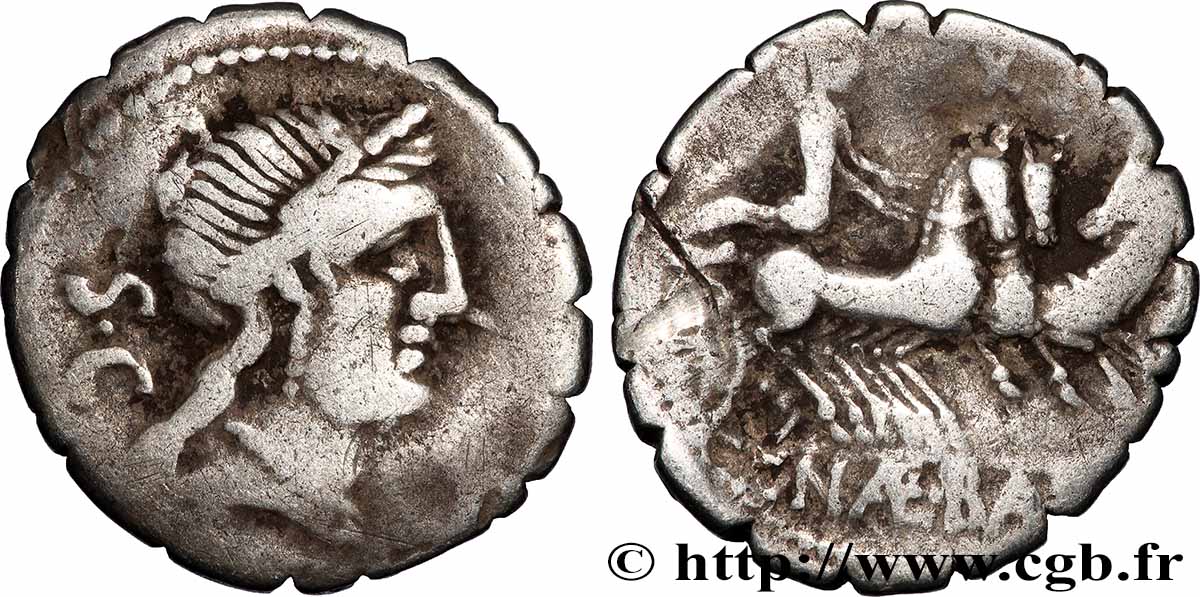 NAEVIA Denier serratus TB+