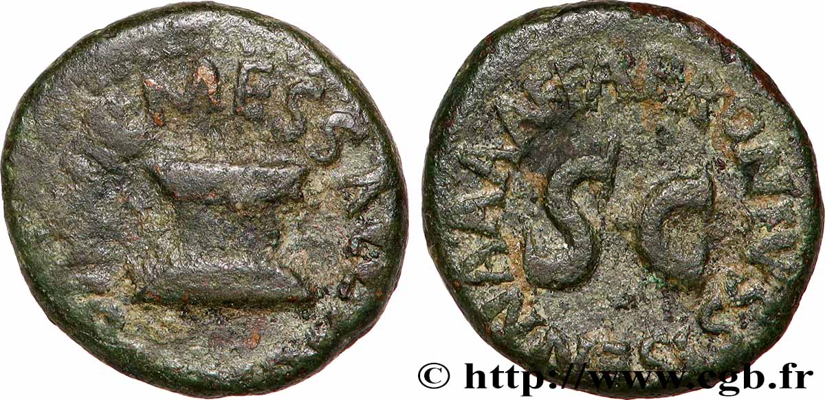 AUGUSTUS Quadrans S/fSS