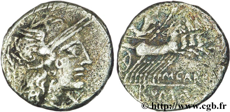 PAPIRIA Denier MB