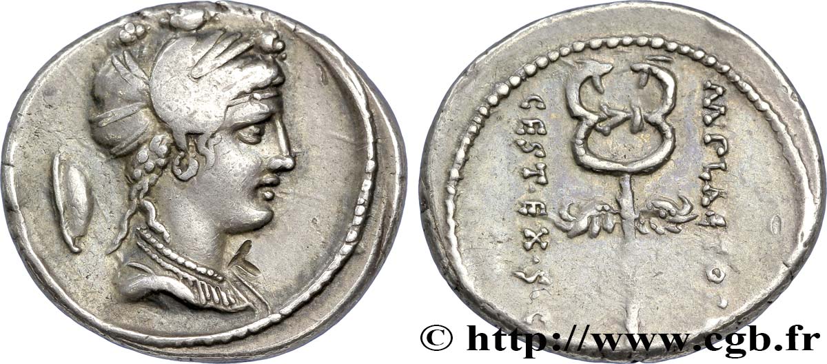 PLAETORIA Denier SUP/TTB+