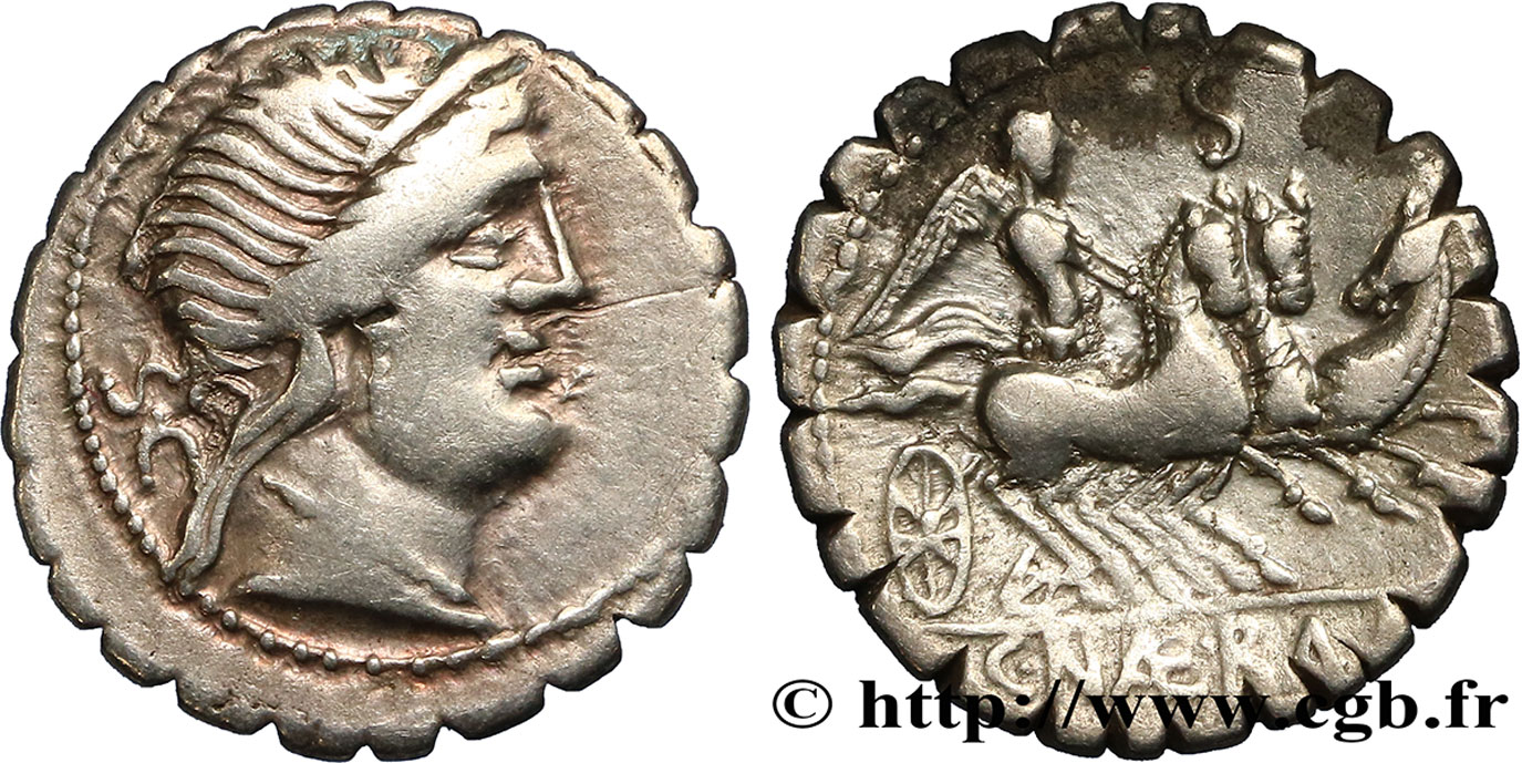 NAEVIA Denier serratus TB+