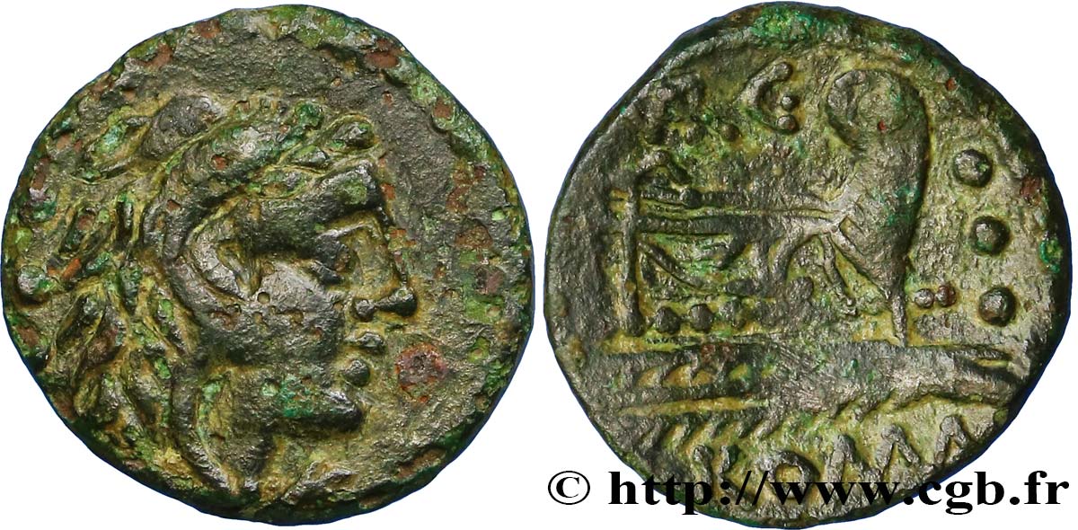 VARGUNTEIA Quadrans TTB