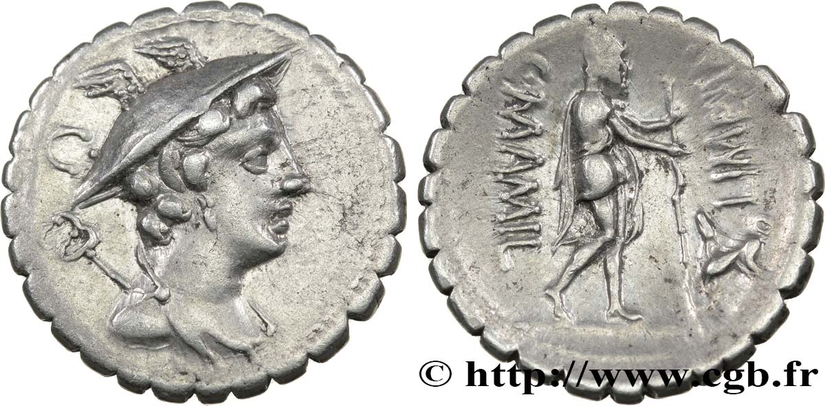 MAMILIA Denier serratus SUP/TTB+