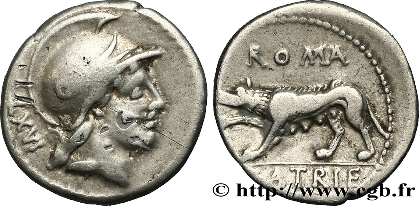 SATRIENA Denier TTB/TTB+