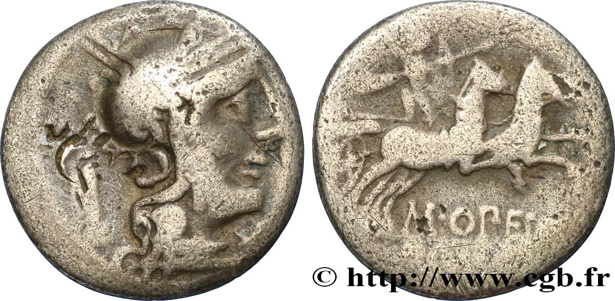 OPIMIA Denier q.BB
