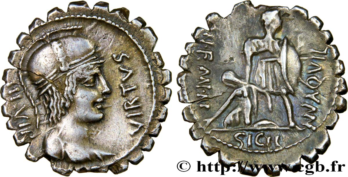 AQUILLIA Denier serratus SUP