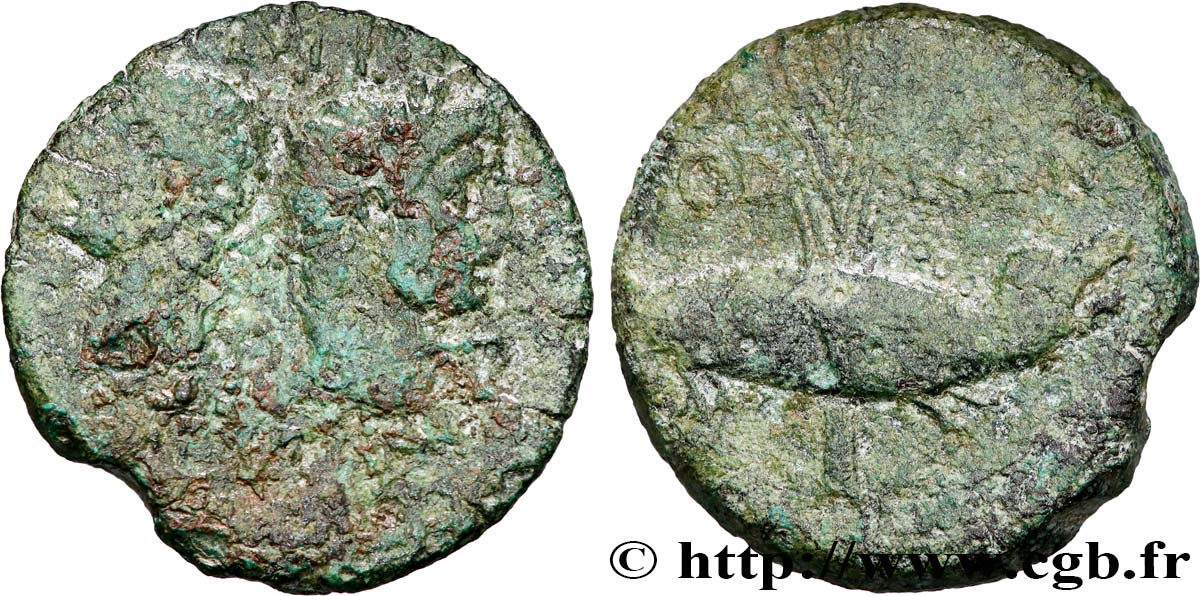 NEMAUSUS - NIMES - AUGUSTUS and AGRIPPA Dupondius COL NEM (as) F/VF