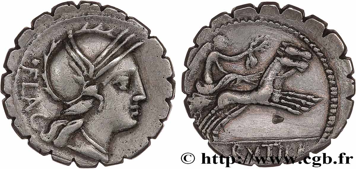 RUTILIA Denier serratus AU