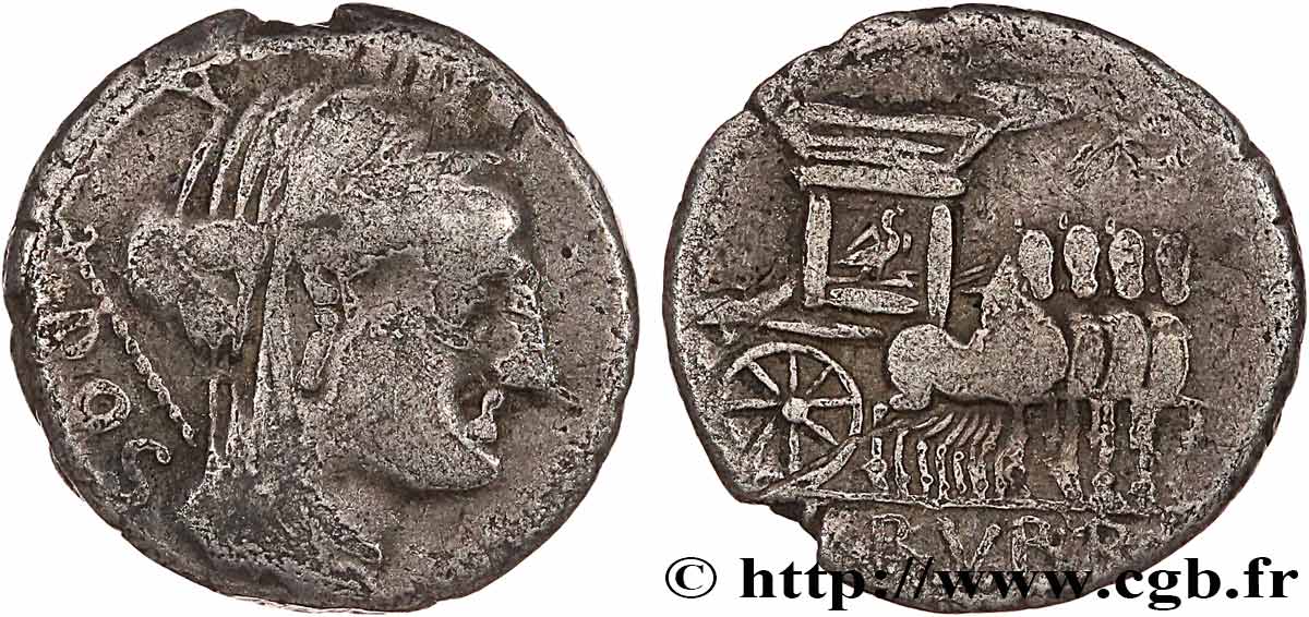 RUBRIA Denier TB+