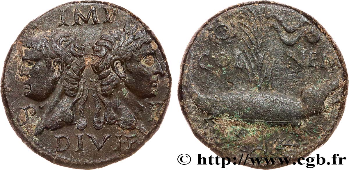 NEMAUSUS - NISMA - AUGUSTO e AGRIPPA Dupondius COL NEM (as) q.SPL/q.BB