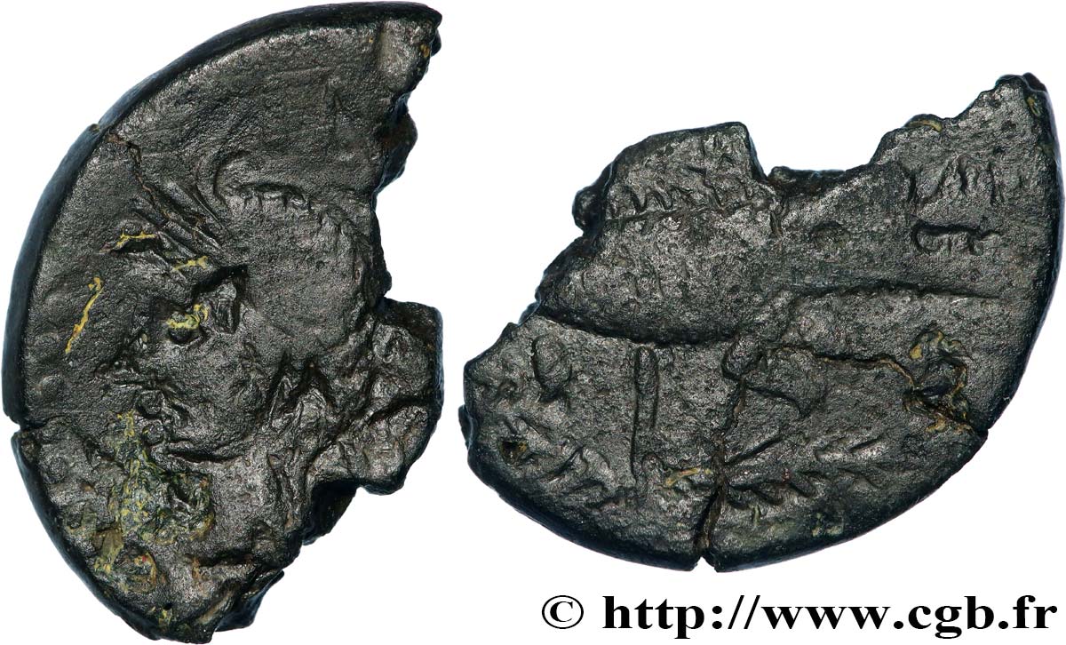 NEMAUSUS - NÎMES Dupondius COL NEM (as), coupé en deux MB