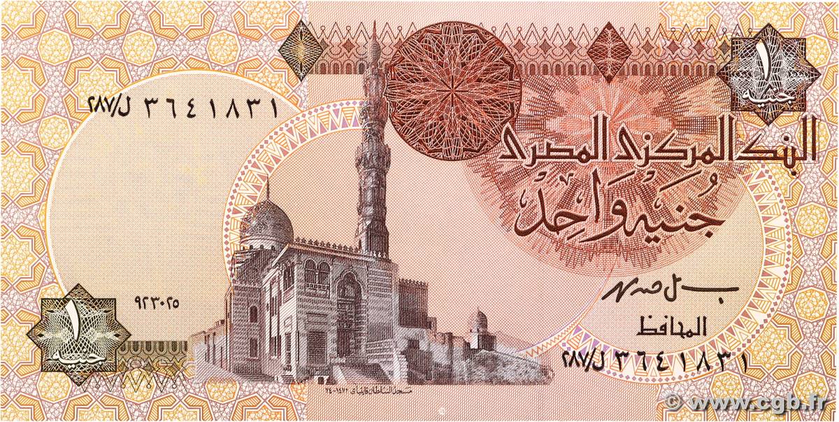 1 Pound EGYPT  1995 P.050e
 UNC-