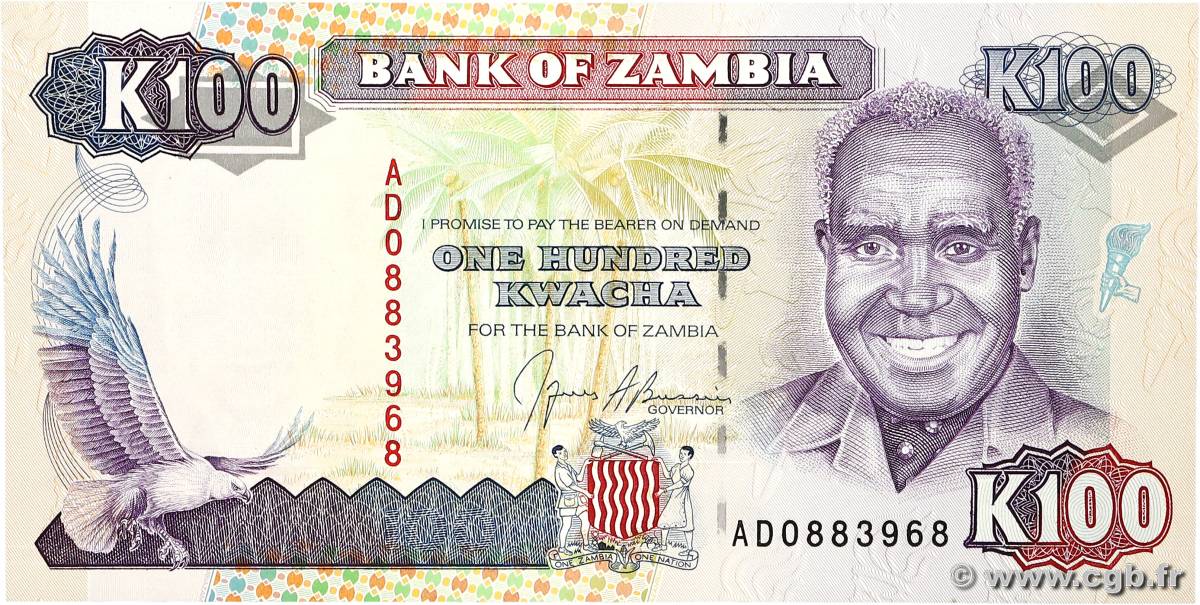 100 Kwacha ZAMBIE  1991 P.34a NEUF