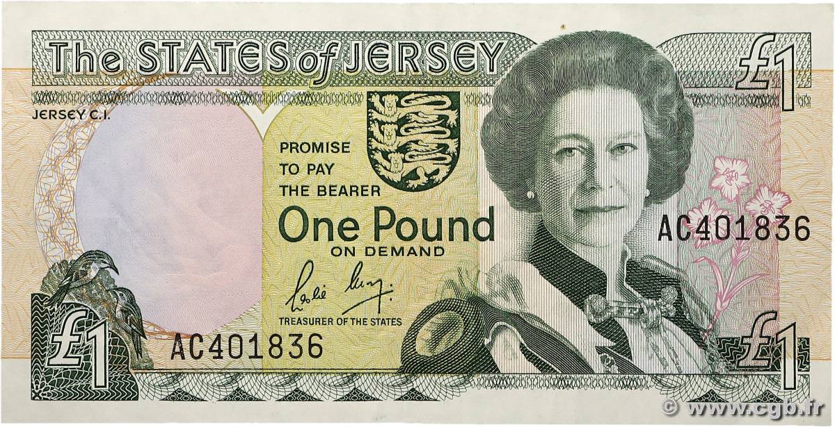 1 Pound JERSEY  1989 P.15a VF