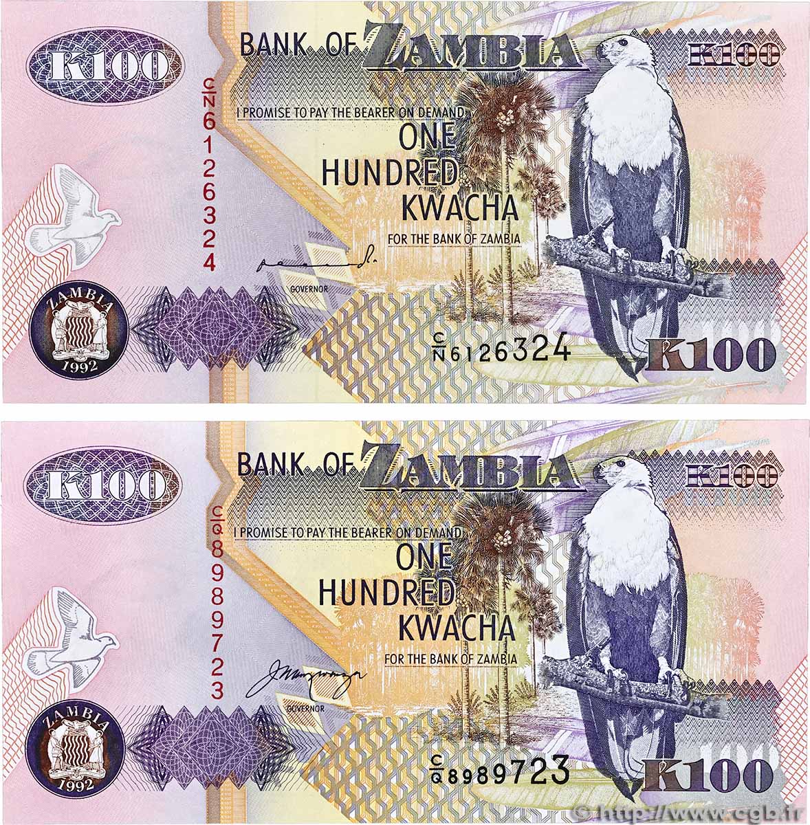 100 Kwacha Lot SAMBIA  1992 P.38a fST+