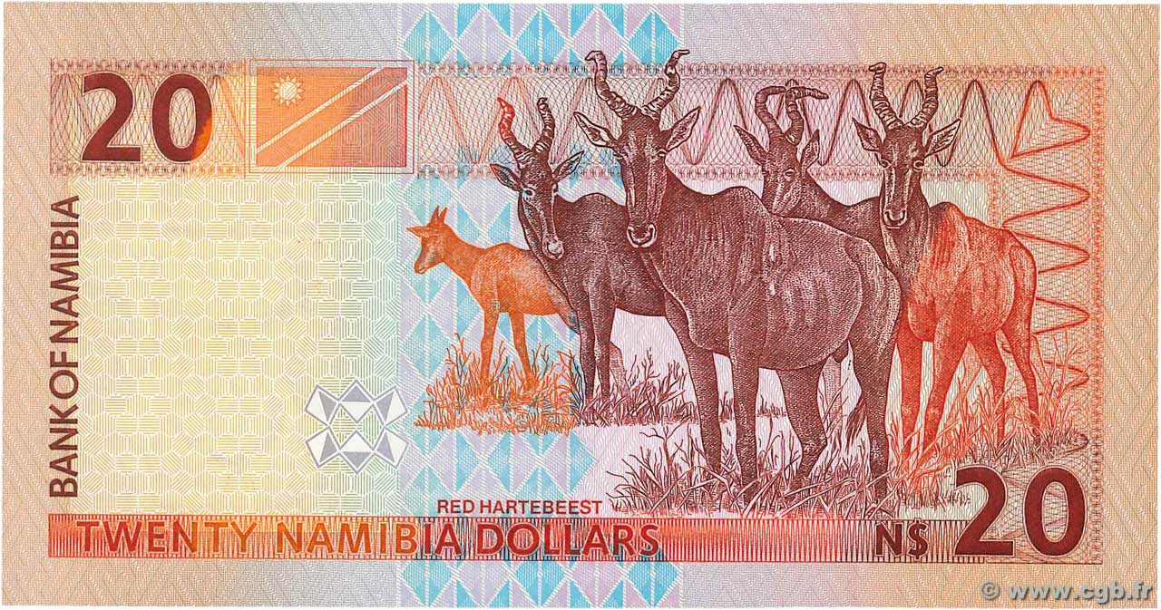 20 Namibia Dollars NAMIBIE 1996 P.05a B93_5425 Billets