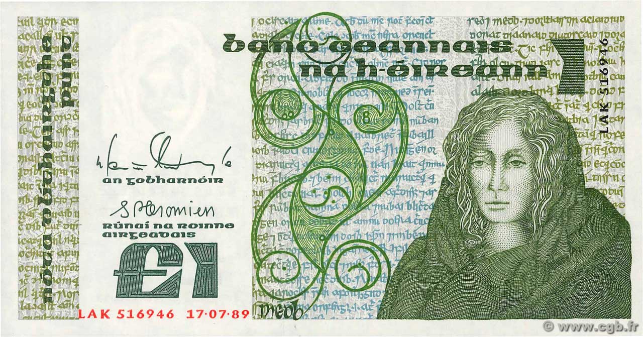 1 Pound IRLANDA  1989 P.070d FDC