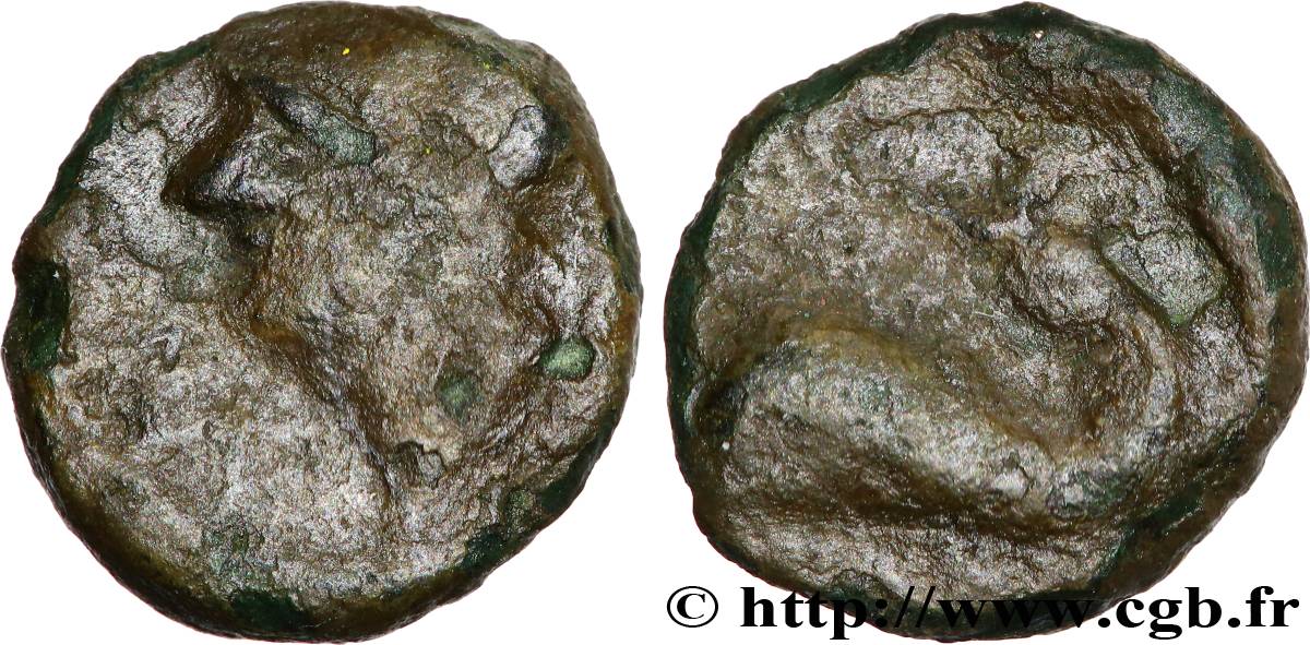 MASALIA - MARSEILLES Petit bronze au dauphin, tête à gauche MBC/BC+