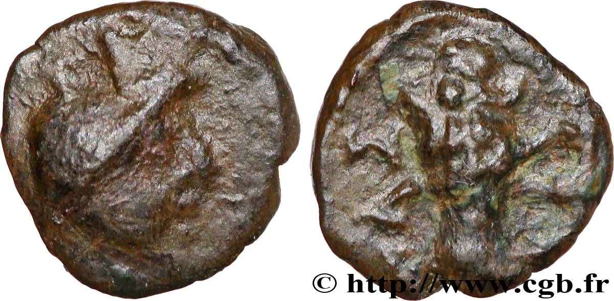 MASSALIA - MARSEILLE Petit bronze au lion VF/XF